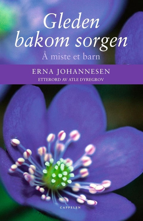 Gleden bakom sorgen - Å miste et barn
