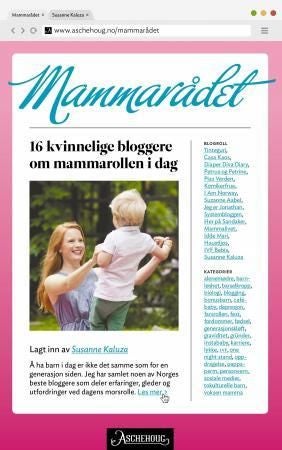 Mammarådet - 16 kvinnelige bloggere om mammarollen i dag