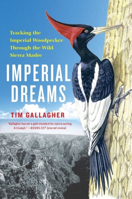 Imperial Dreams - Tracking the Imperial Woodpecker Through the Wild