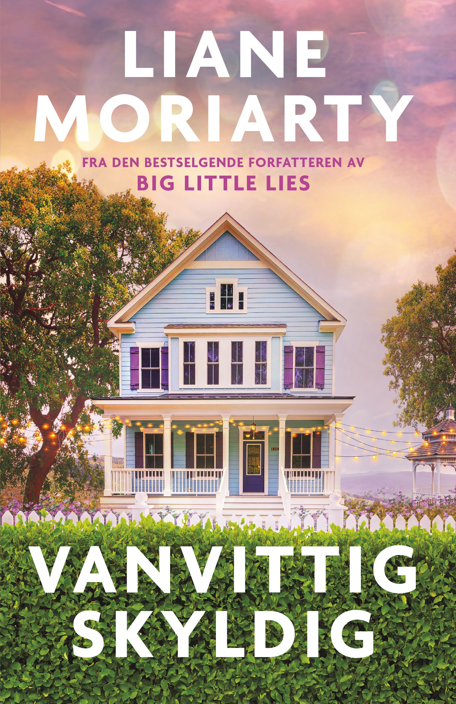 Vanvittig skyldig