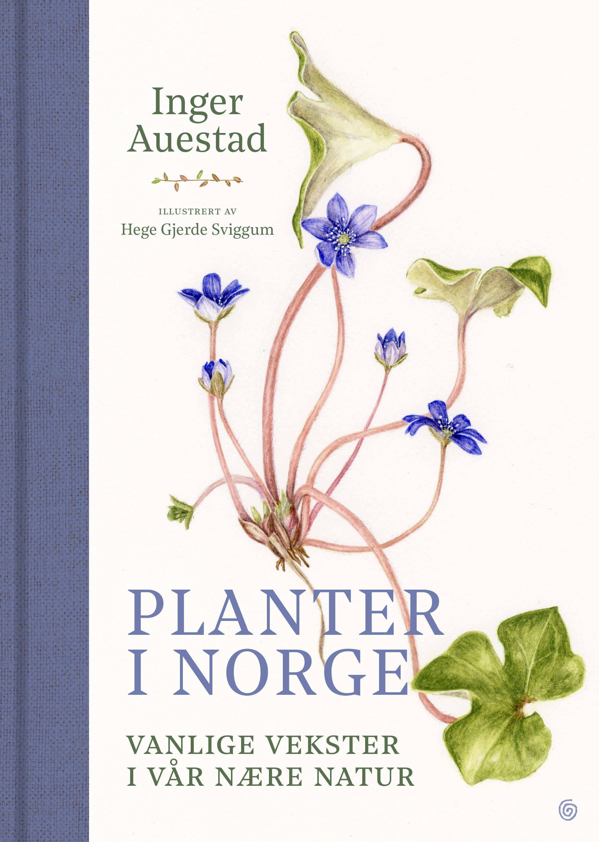Planter i Norge - vanlige vekster i vår nære natur