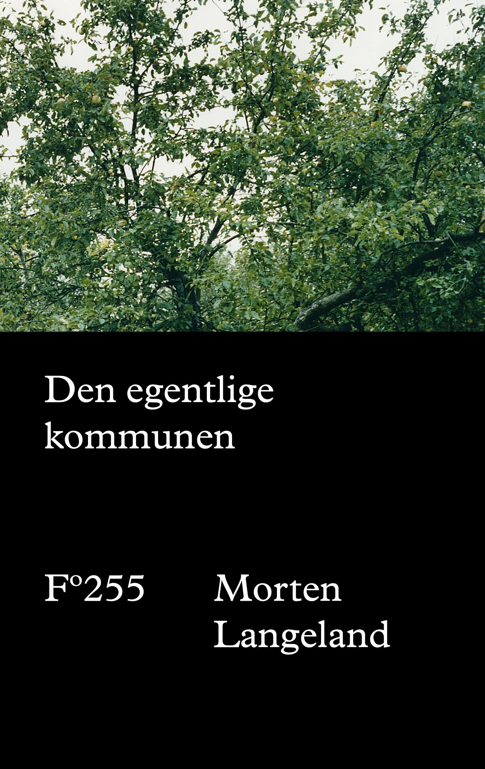 Den egentlige kommunen