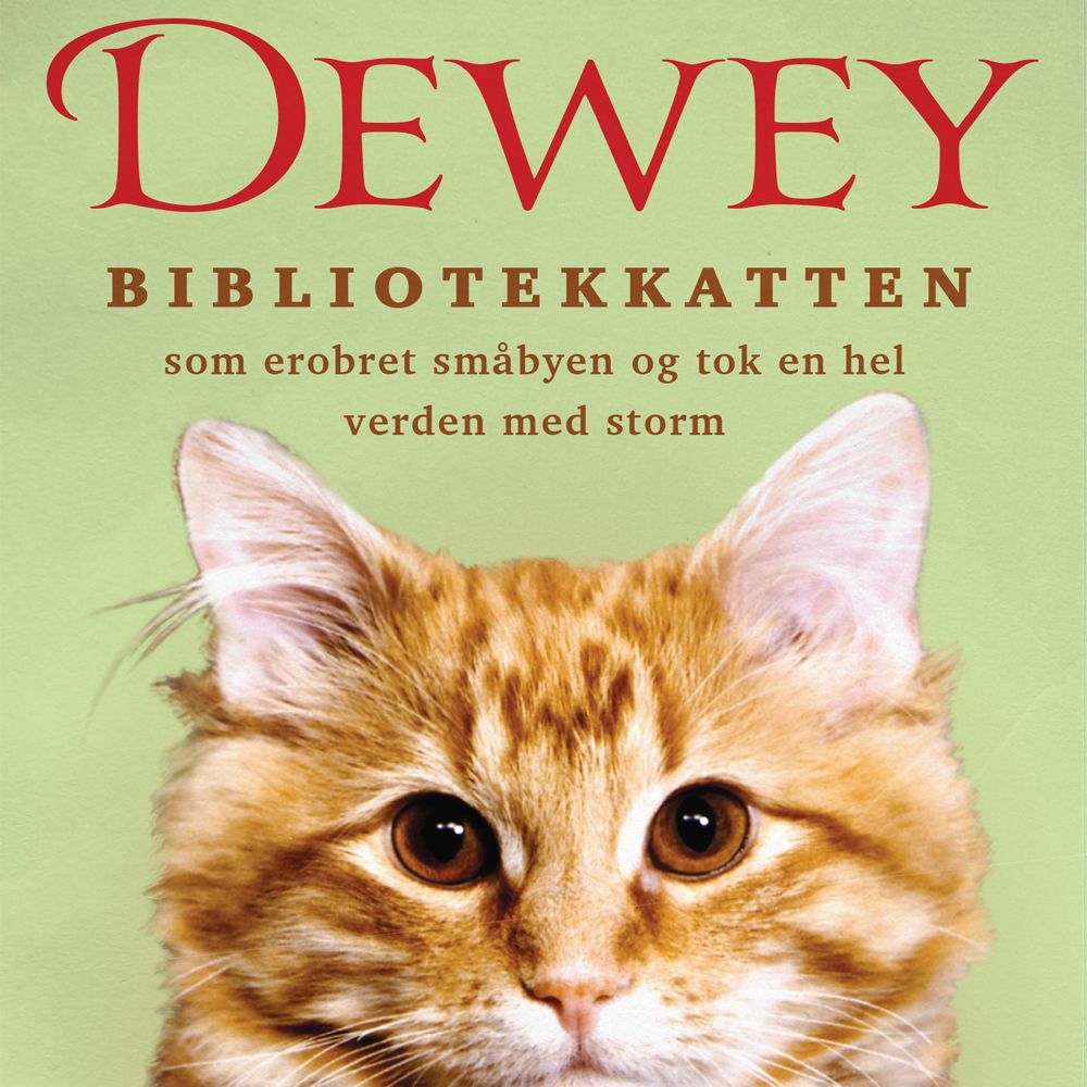 Dewey - bibliotekkatten som erobret småbyen og tok en hel verden med storm