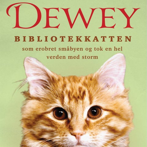 Dewey - bibliotekkatten som erobret småbyen og tok en hel verden med storm