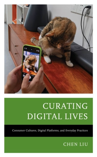 Curating Digital Lives - Consumer Cultures, Digital Platforms, and Everyday Practices