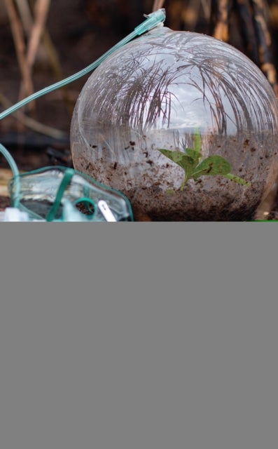 Ibero-American Ecocriticism - Cultural and Social Explorations