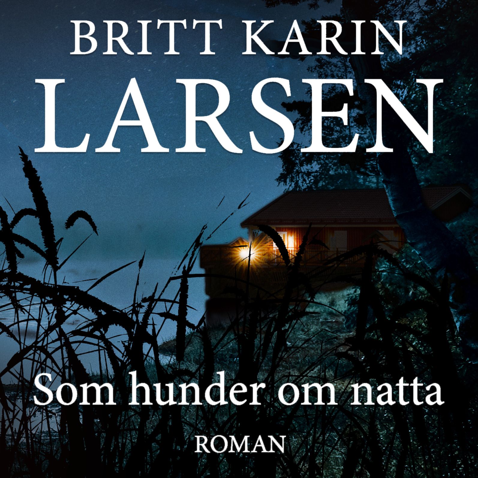 Som hunder om natta
