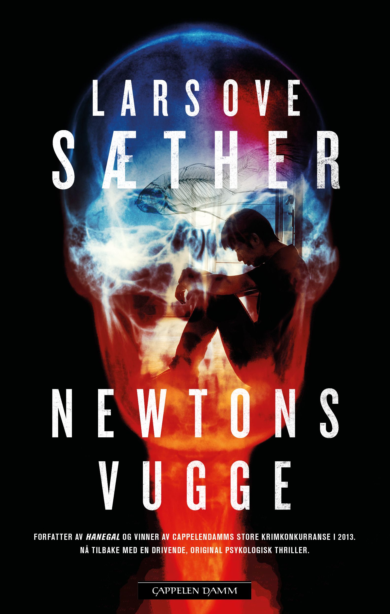Newtons vugge