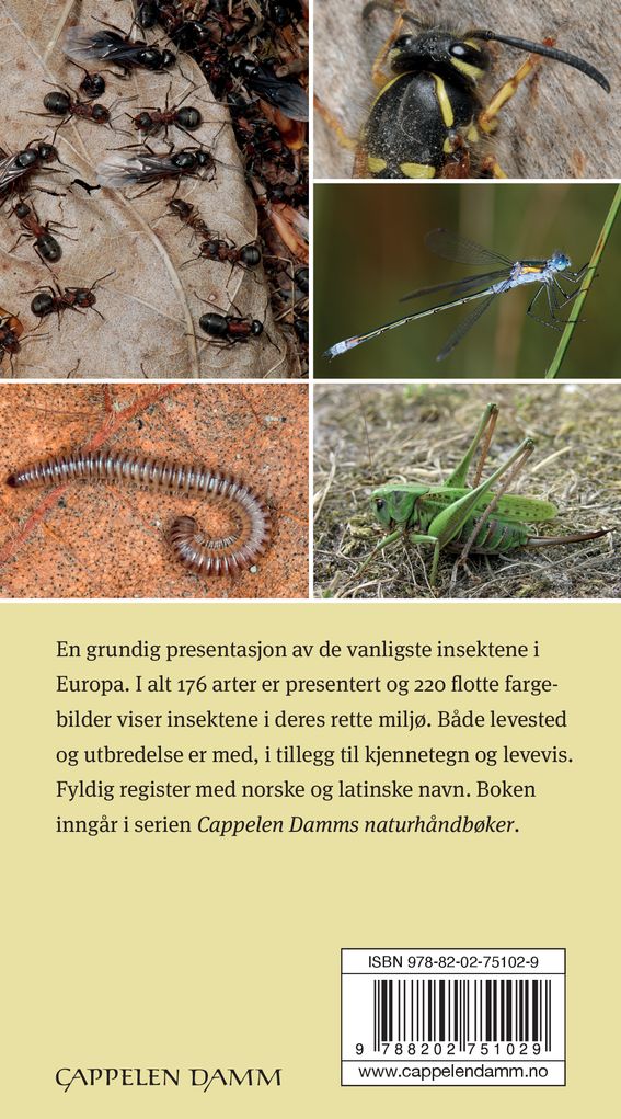 Insekter