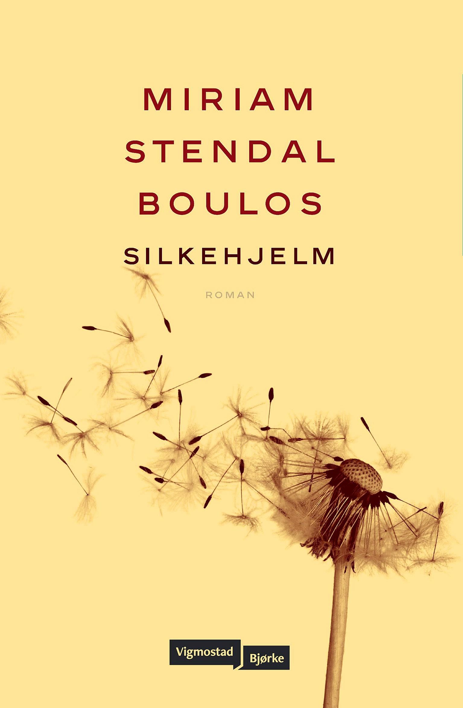 Silkehjelm - roman