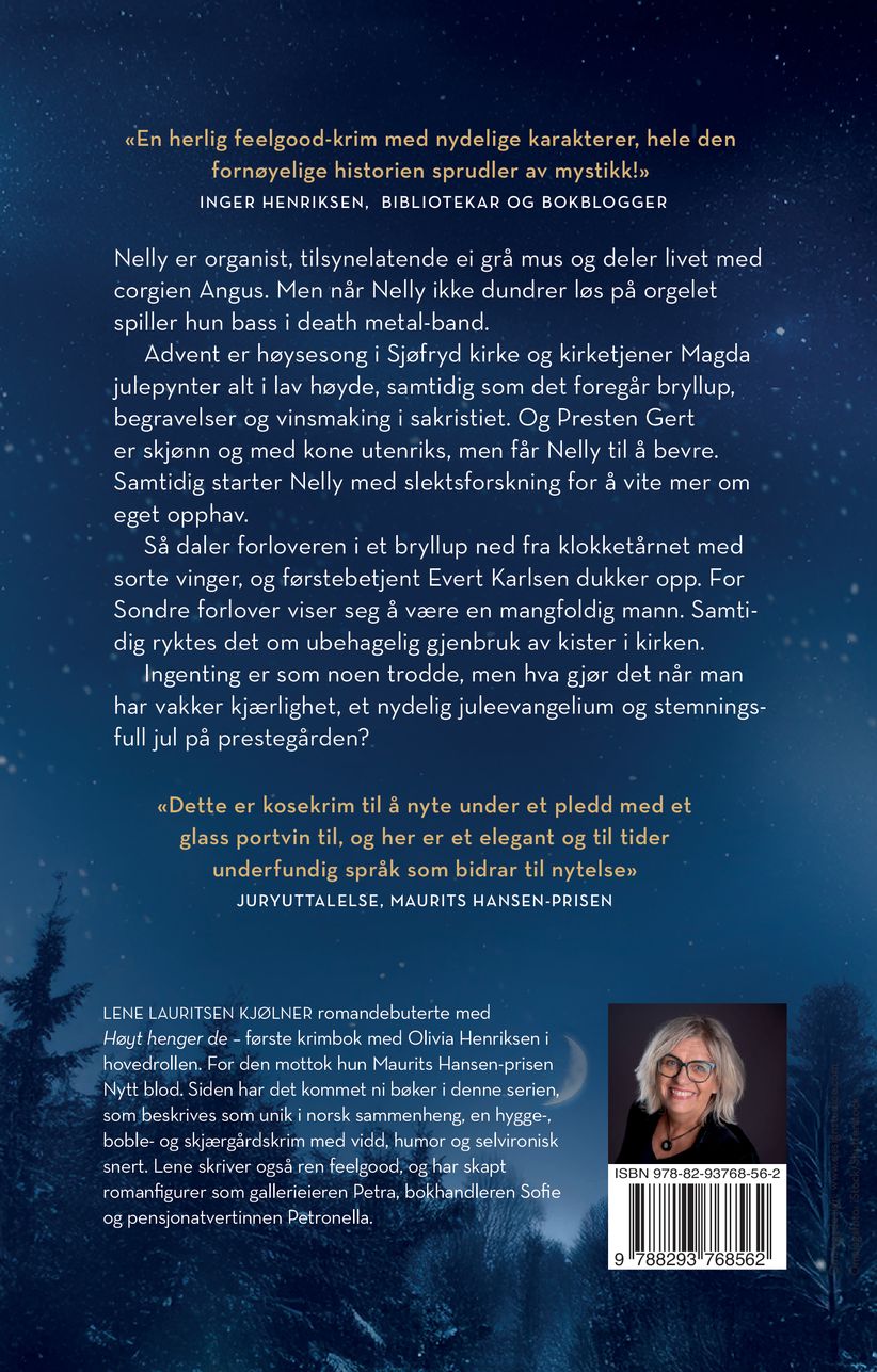 Julemysteriet på prestegården