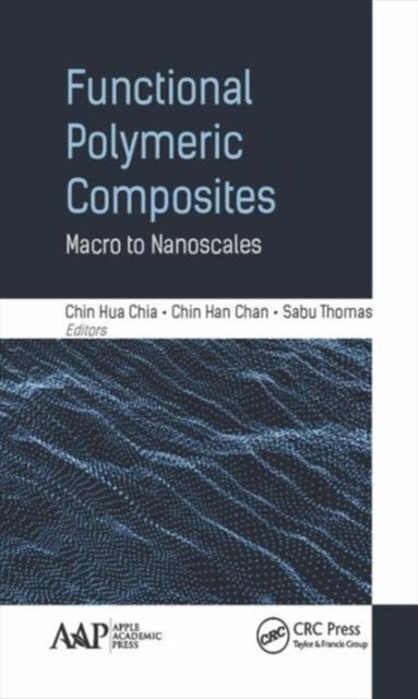 Functional Polymeric Composites - Macro to Nanoscales