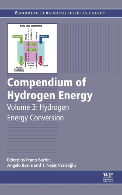 Compendium of Hydrogen Energy - Hydrogen Energy Conversion
