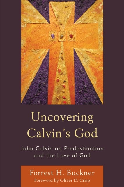 Uncovering Calvin¿s God