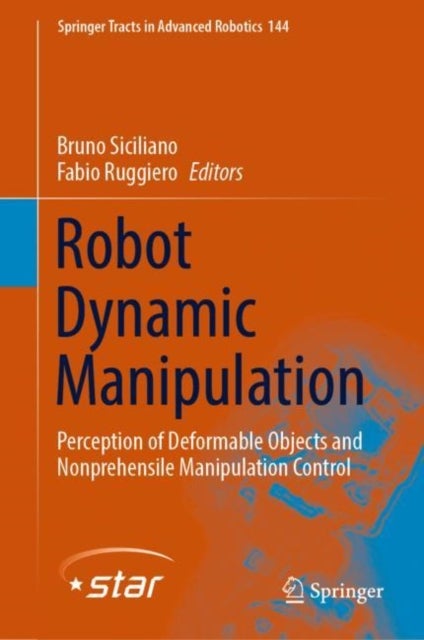 Robot Dynamic Manipulation - Perception of Deformable Objects and Nonprehensile Manipulation Control