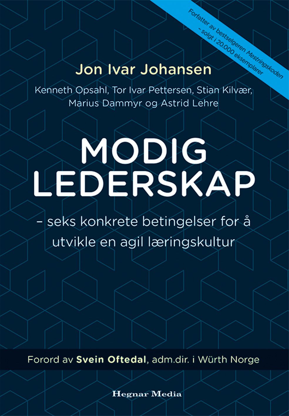 Modig lederskap - seks konkrete betingelser for å utvikle en agil læringskultur