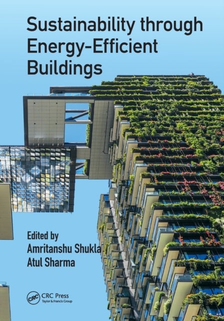 Sustainability Through Energy-efficient Buildings