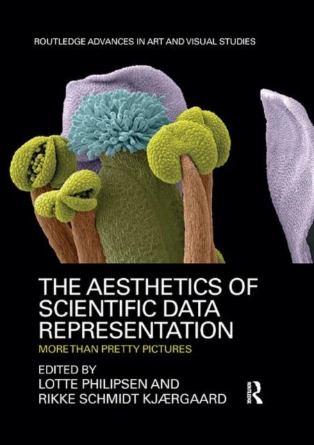 The Aesthetics of Scientific Data Representation - More than Pretty Pictures