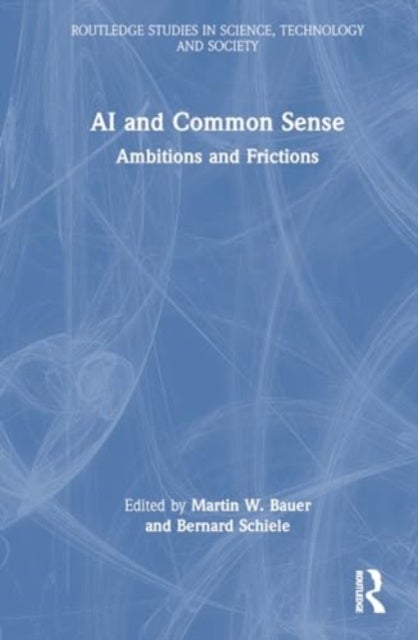 AI and Common Sense - Ambitions and Frictions