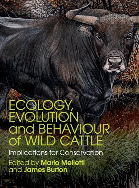 Ecology, Evolution and Behaviour of Wild             Cattle - Implications for Conservation