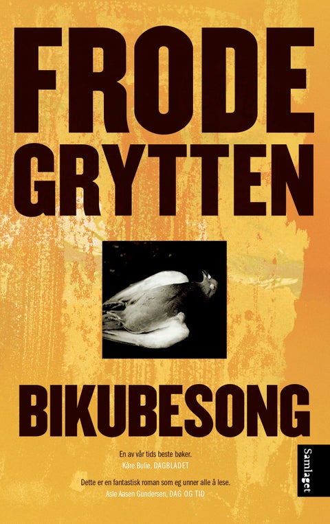 Bikubesong - roman