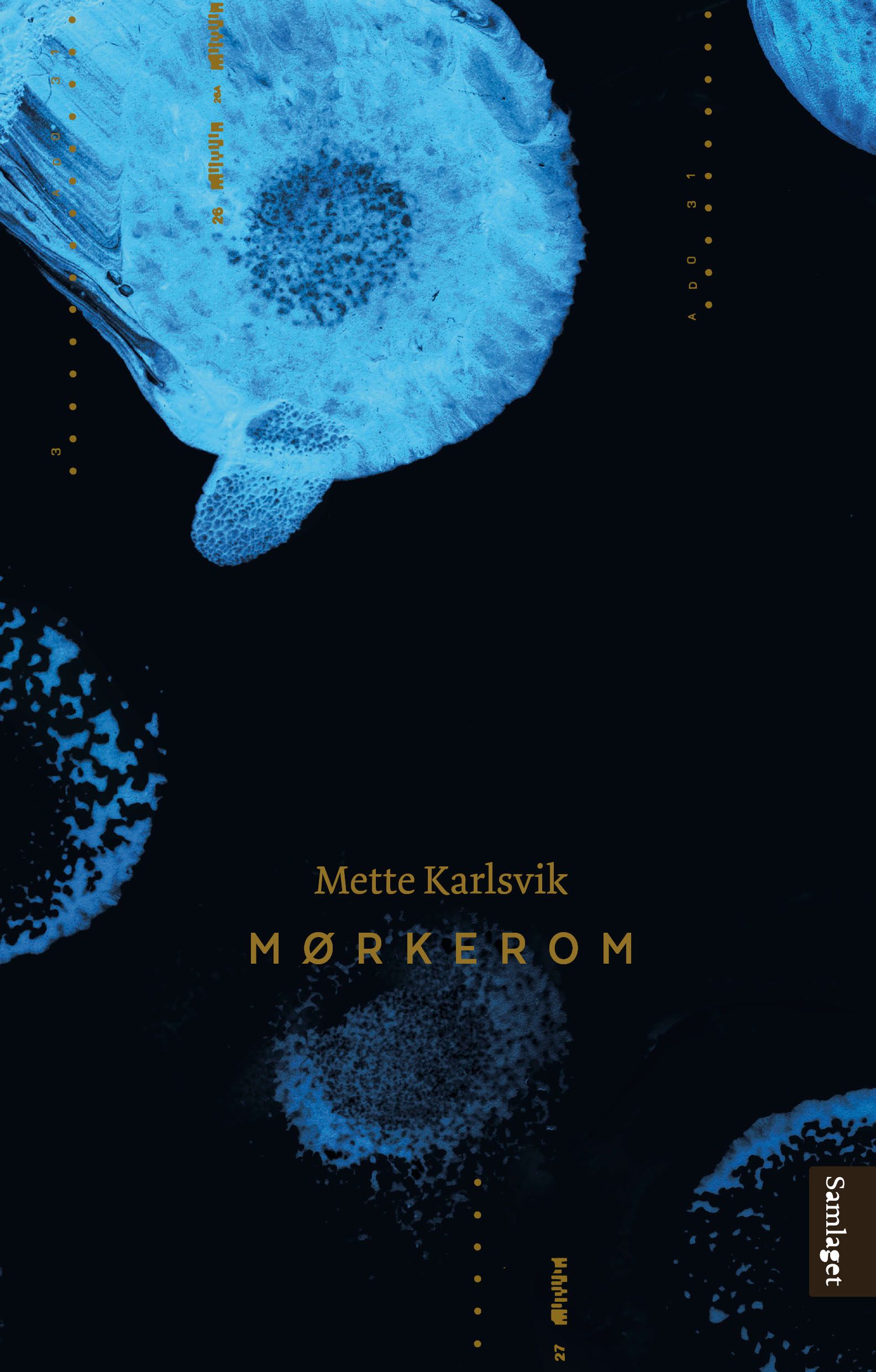 Mørkerom - roman