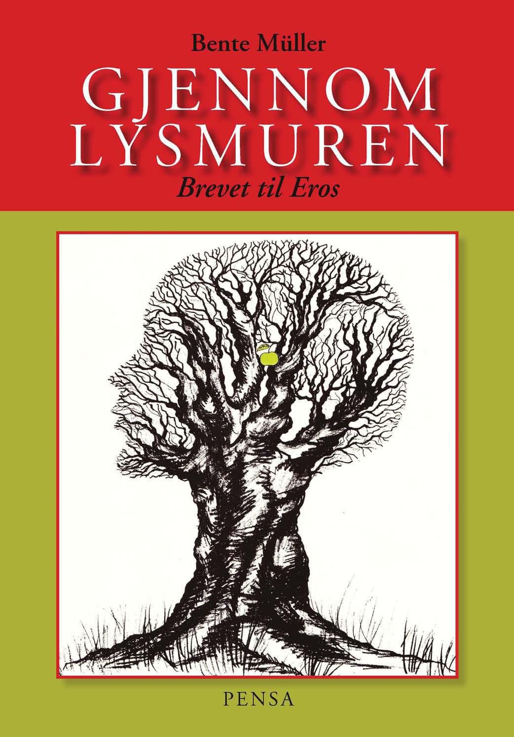 Gjennom lysmuren - brevet til Eros : et kosmogram