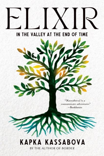 Elixir - In the Valley at the End of Time