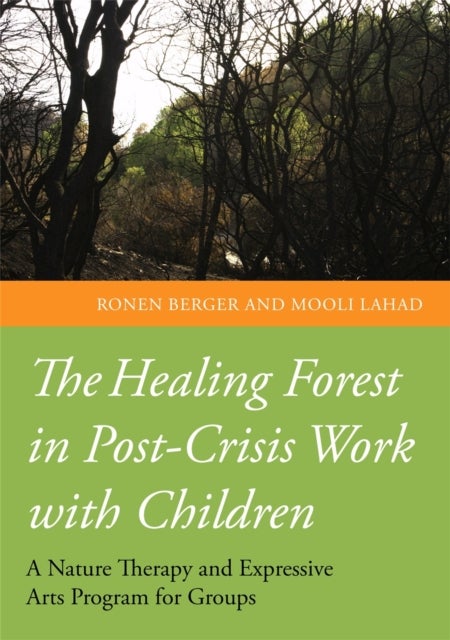Healing Forest in Post-Crisis Work with Children - A Nature Therapy and Expressive Arts Program for Groups