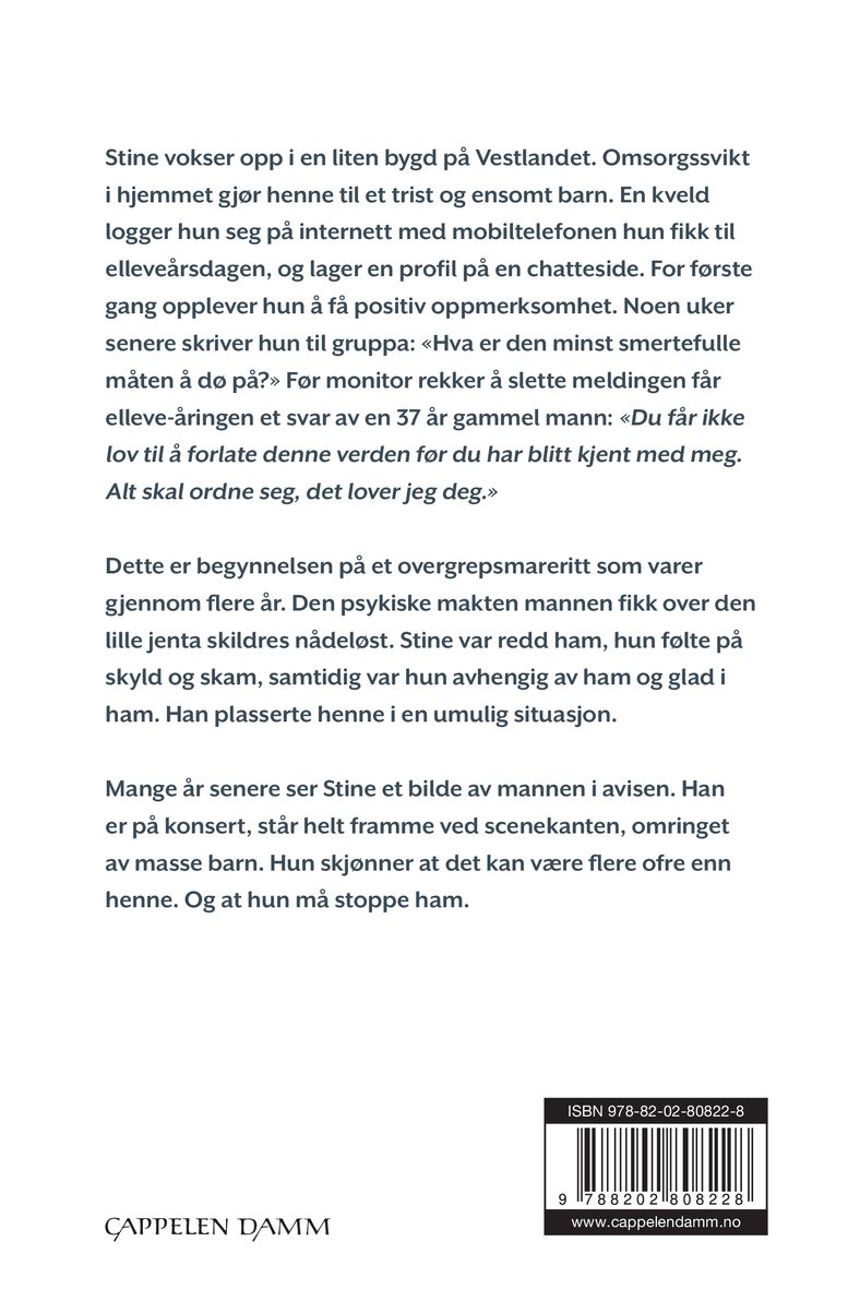 Jakten på en serieovergriper