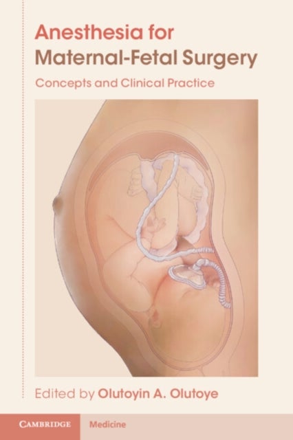 Anesthesia for Maternal-Fetal Surgery - Concepts and Clinical Practice