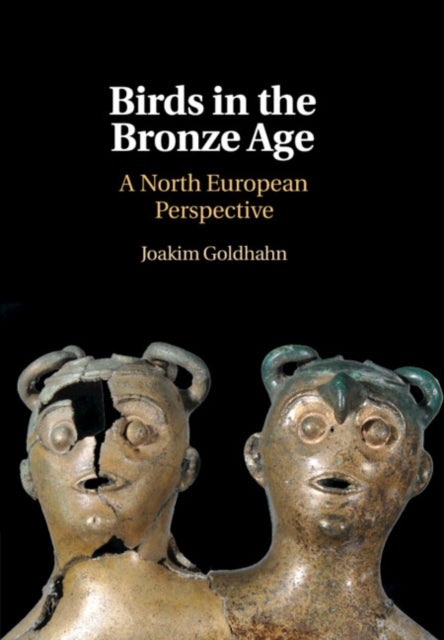 Birds in the Bronze Age - A North European Perspective