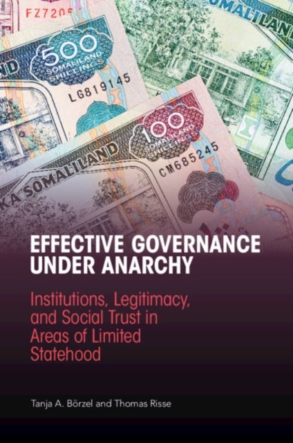 Effective Governance Under Anarchy - Institutions, Legitimacy, and Social Trust in Areas of Limited Statehood