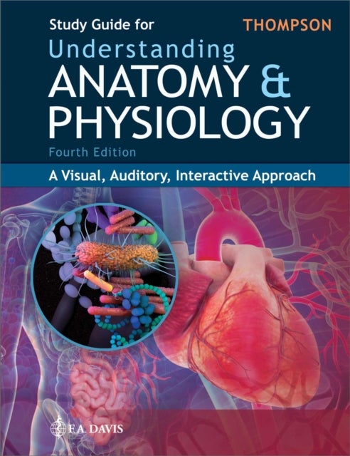 Study Guide for Understanding Anatomy & Physiology - A Visual, Auditory, Interactive Approach