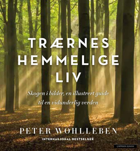 Trærnes hemmelige liv - skogen i bilder : en illustrert guide til en vidunderlig verden