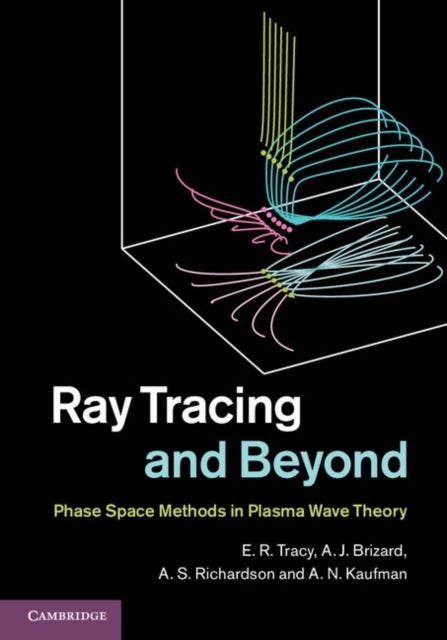 Ray Tracing and Beyond - Phase Space Methods in Plasma Wave Theory