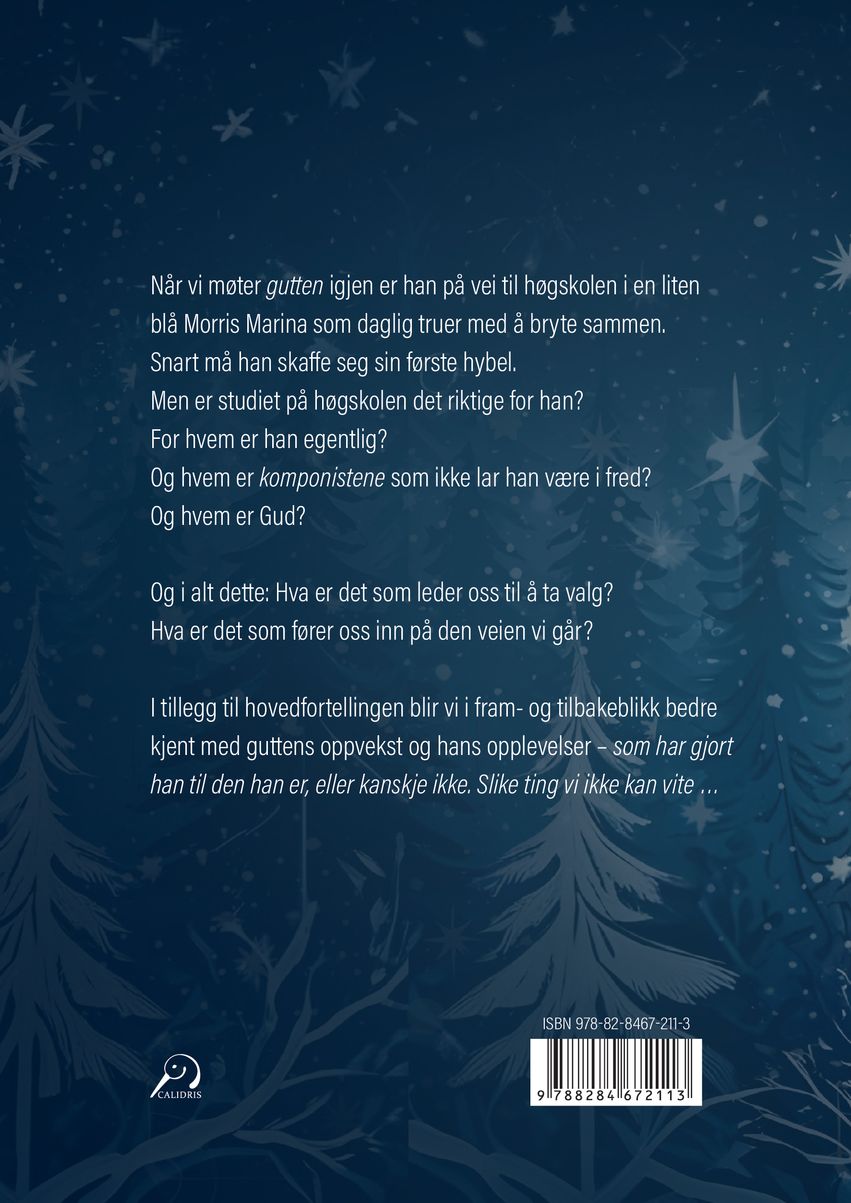 Stjernestormen