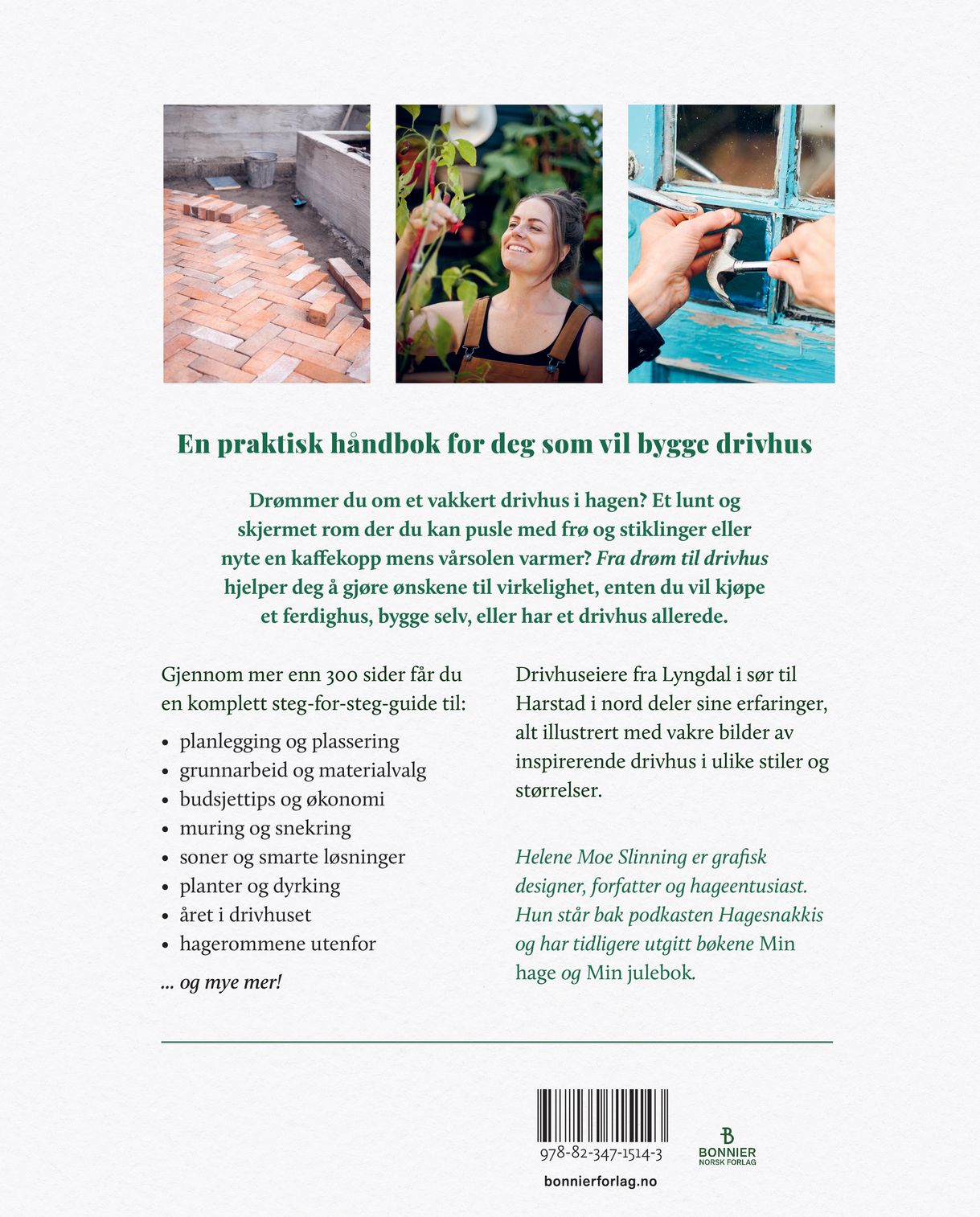 Fra drøm til drivhus