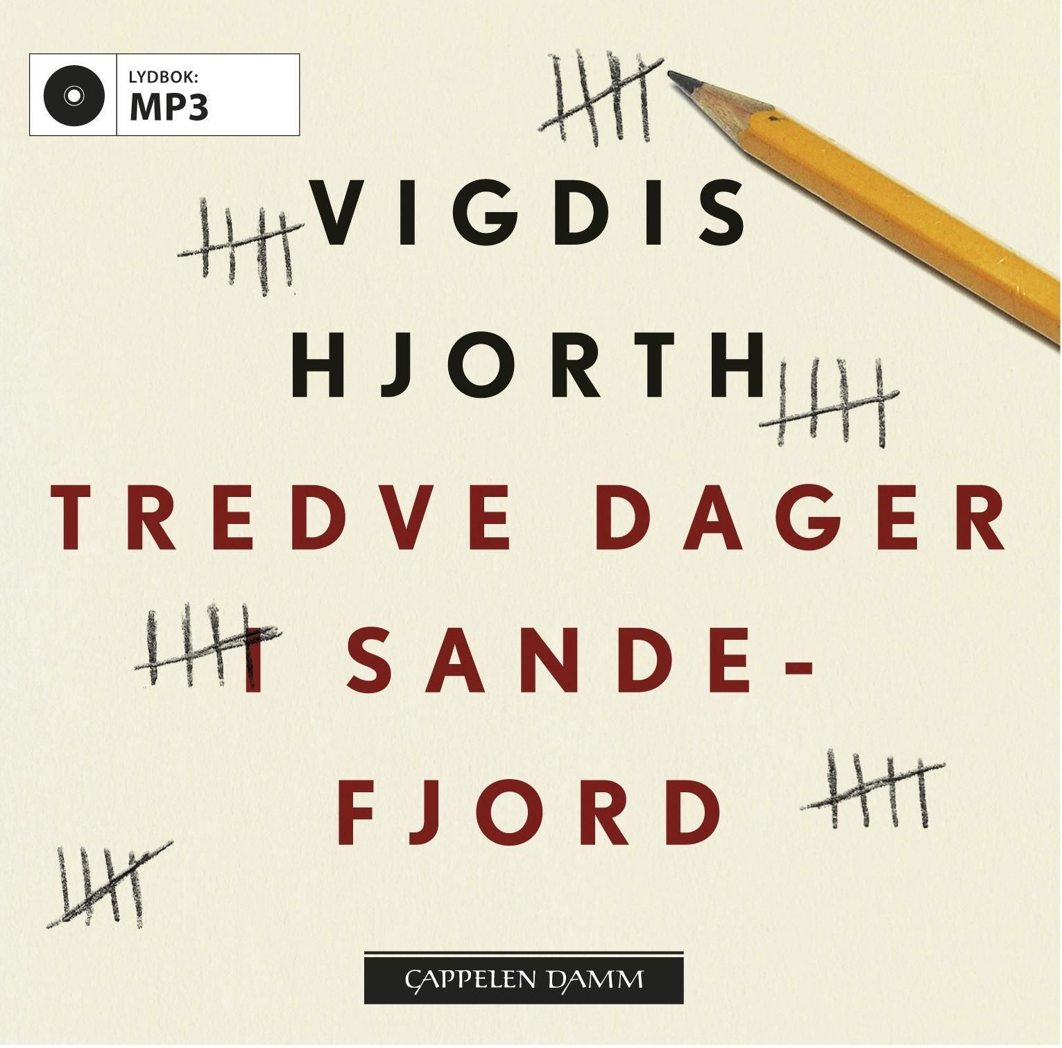 Tredve dager i Sandefjord