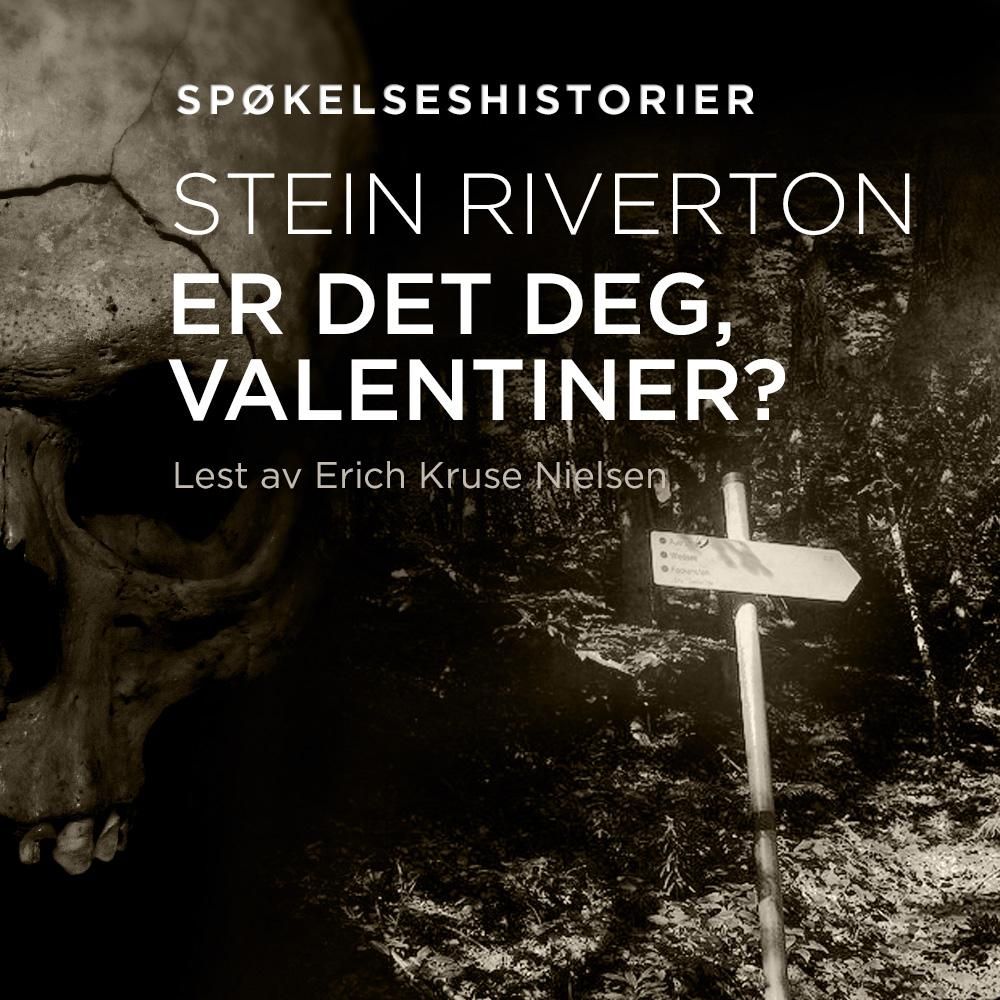 Er det deg, Valentiner?