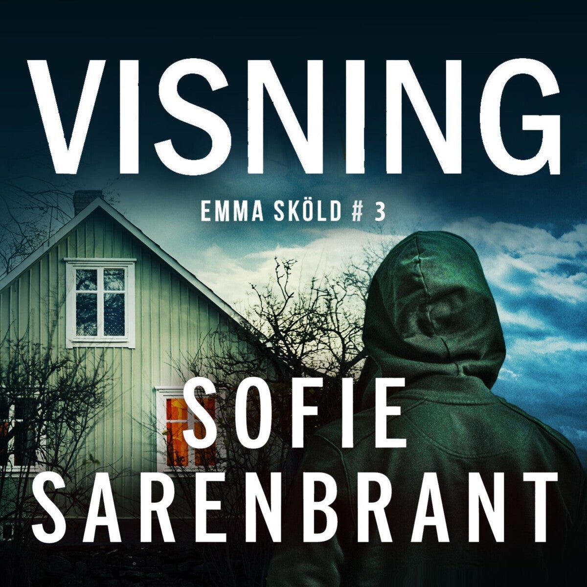 Visning