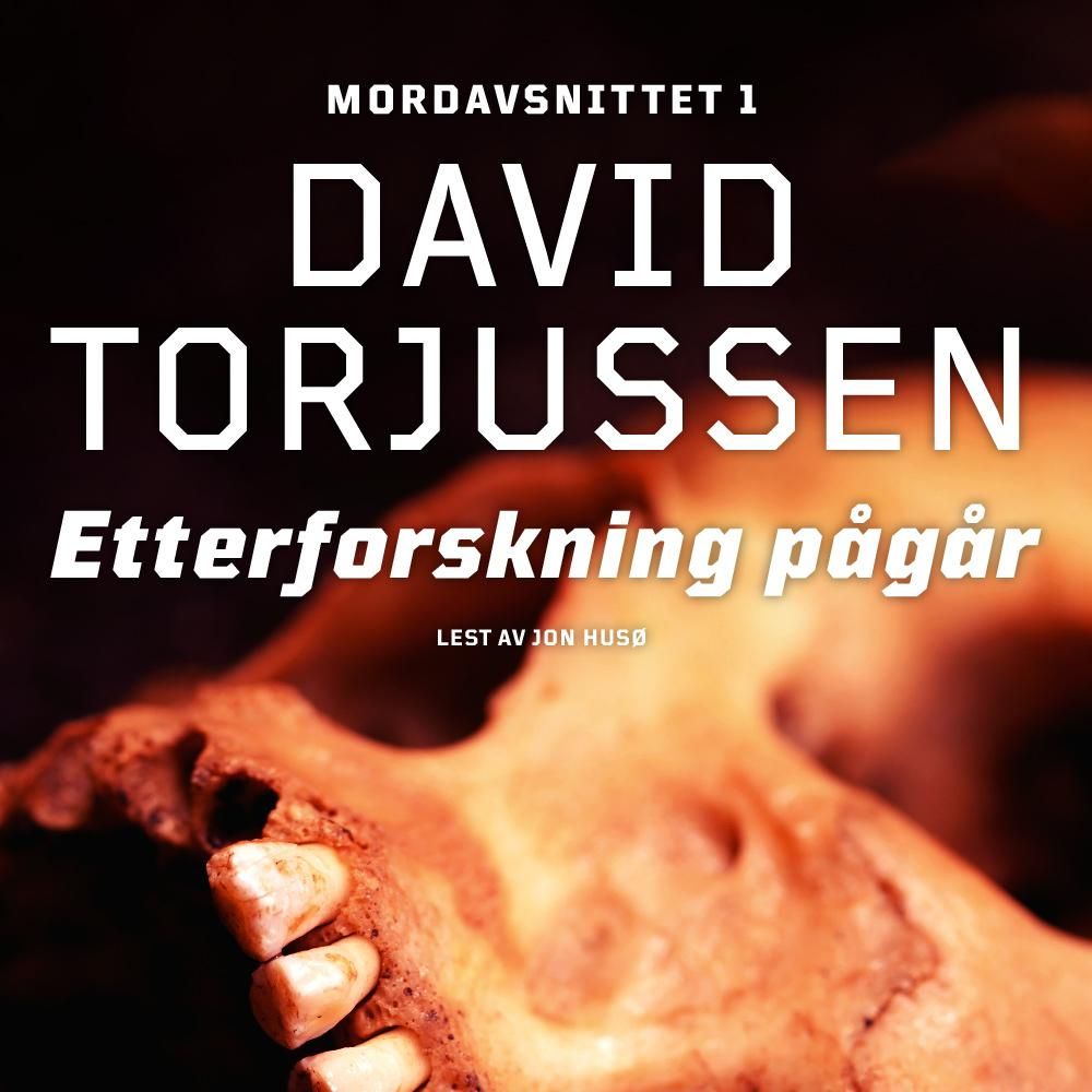 Etterforskning pågår