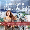 Gjennom skjærsilden