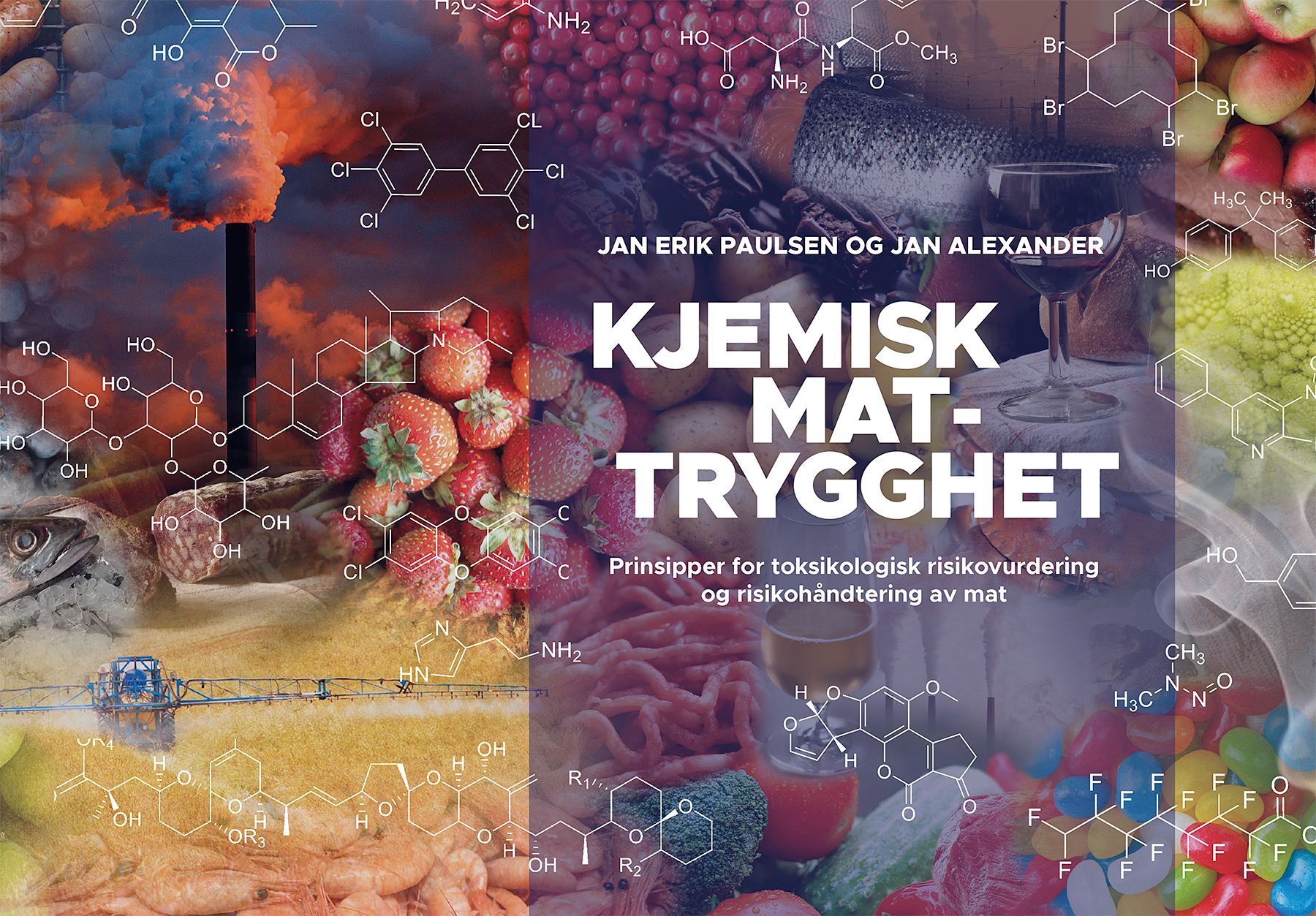 Kjemisk mattrygghet - prinsipper for toksikologisk risikovurdering og risikohåndtering av mat