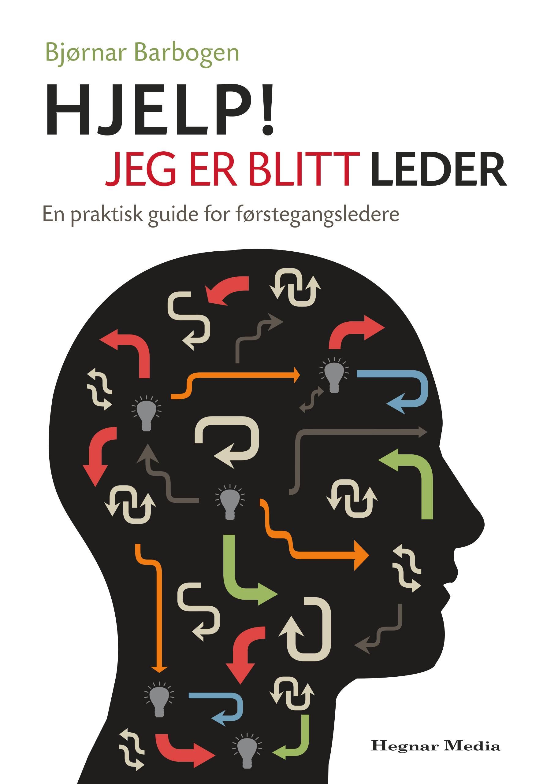 Hjelp! Jeg er blitt leder - en praktisk guide for førstegangsledere