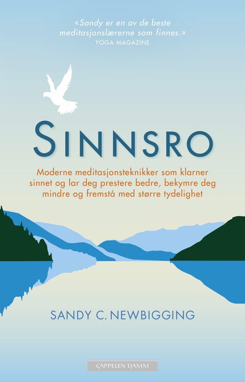 Sinnsro - moderne meditasjonsteknikker som klarner sinnet og lar deg prestere bedre, bekymre deg mindre og fremstå med større tydelighet