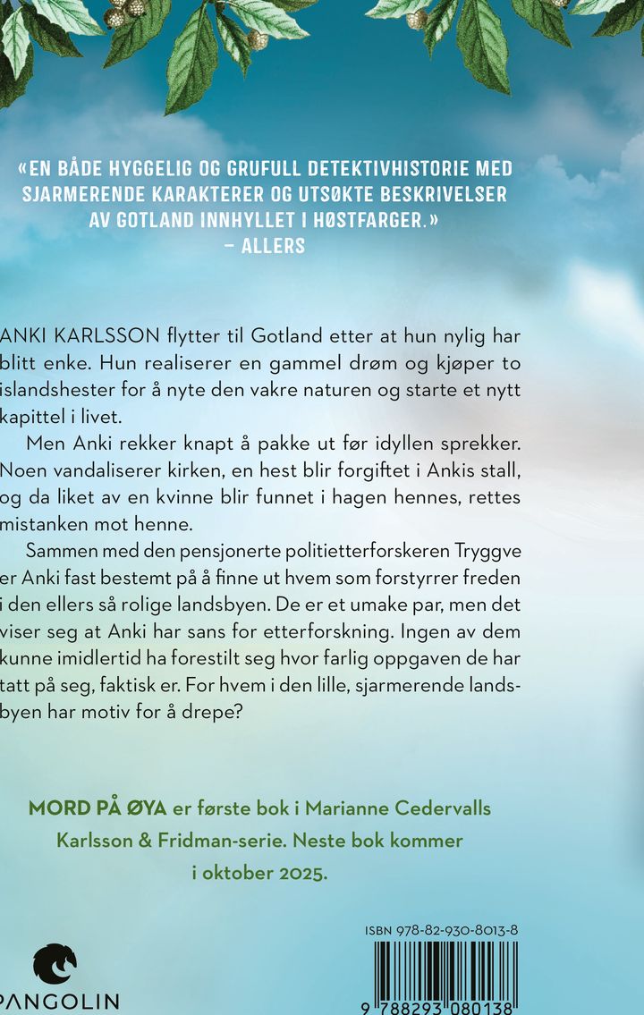 Mord på øya
