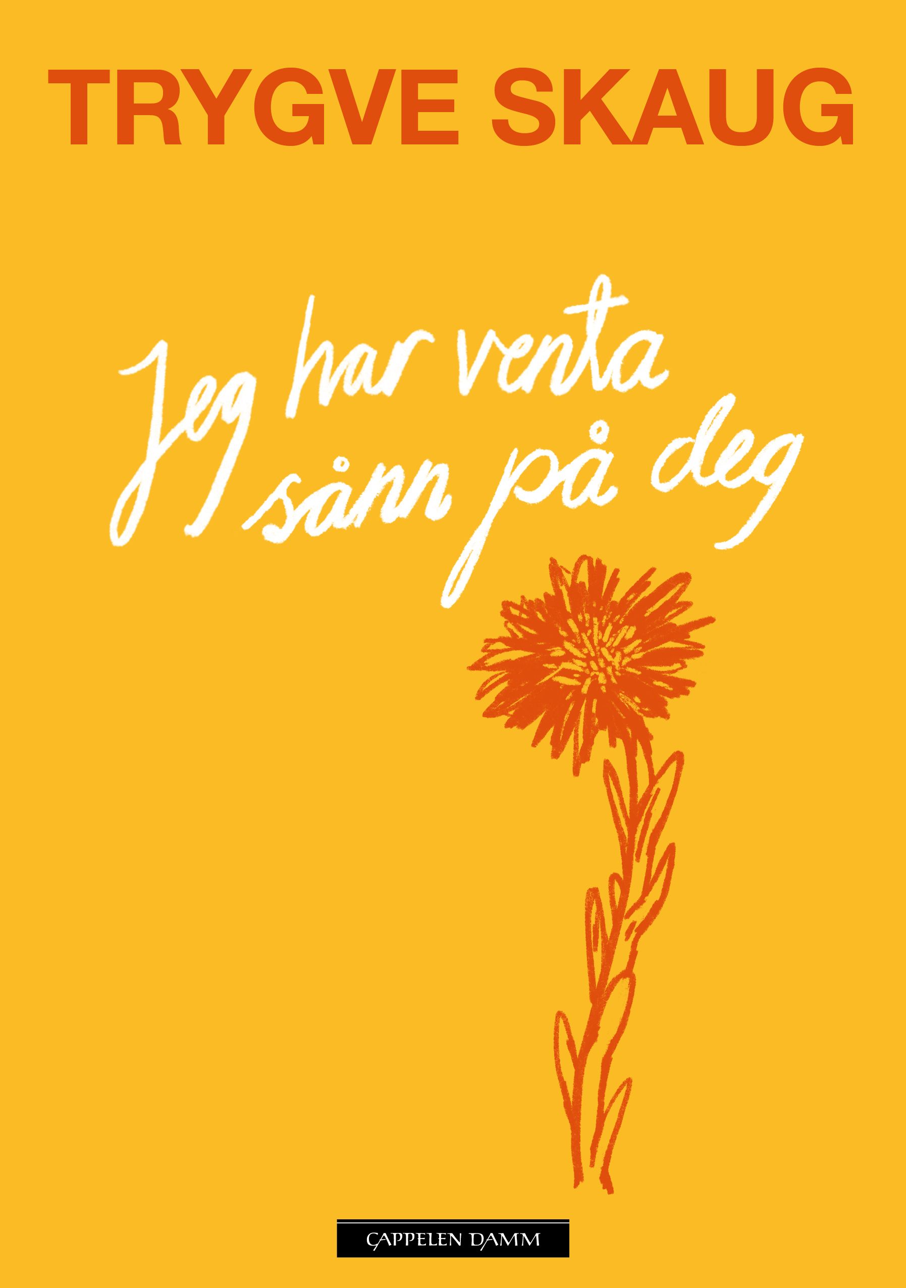Jeg har venta sånn på deg - dikt
