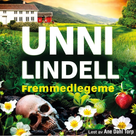 Fremmedlegeme - krimroman