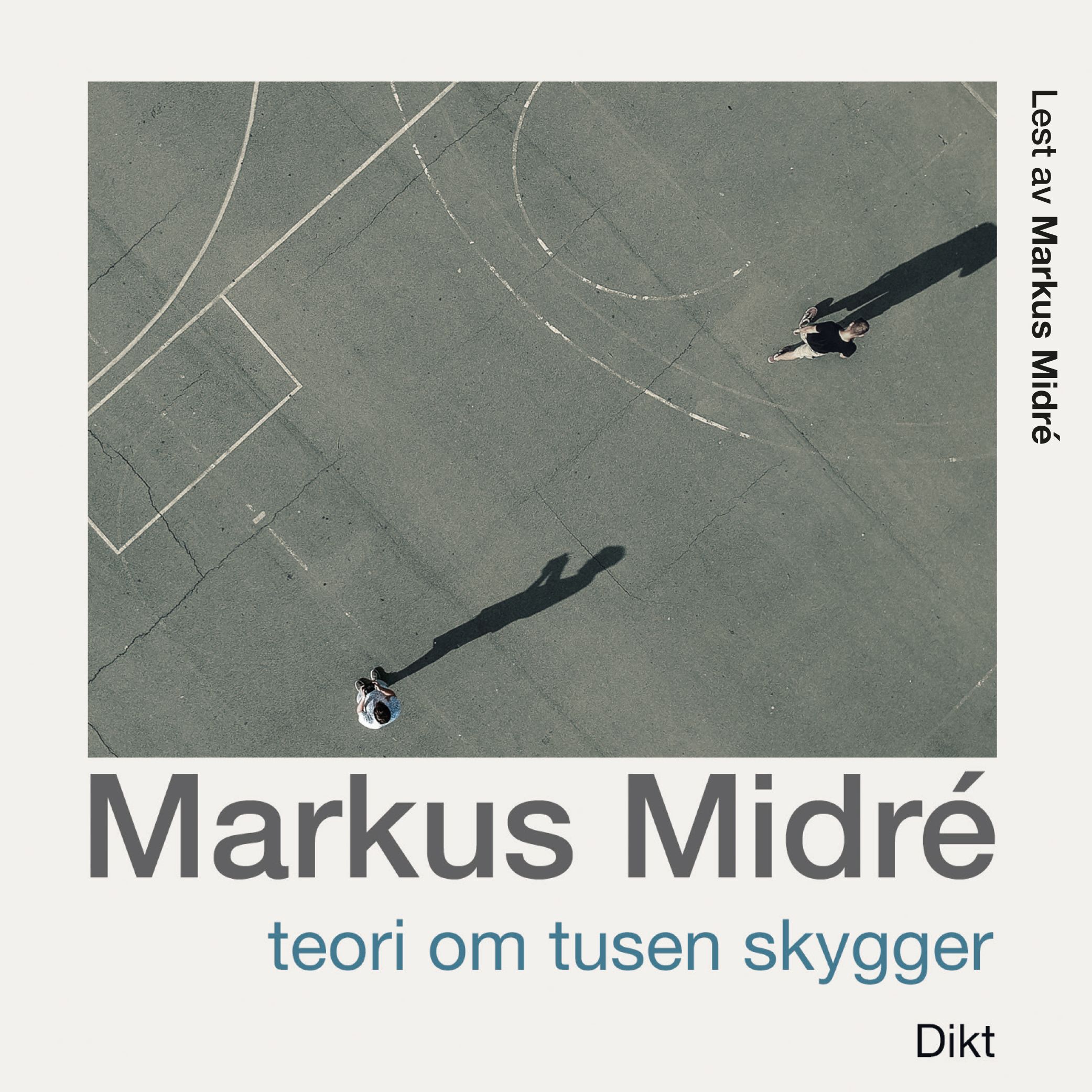 Teori om tusen skygger - dikt